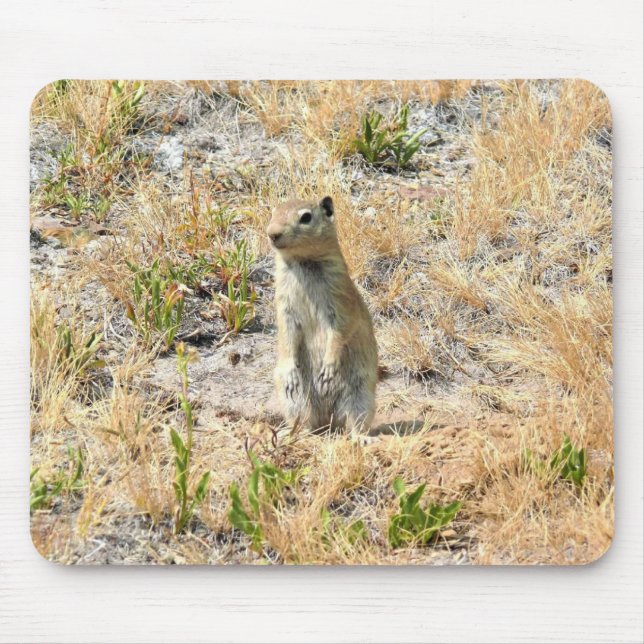 Mousepad Prairie Dog em Yosemite, CA (Frente)