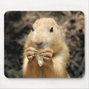 Mousepad Prairie Dog tendo um lanche