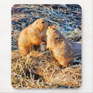 MOUSEPAD PRAIRIE DOGS