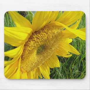 Mousepad Prato de girassol amarelo