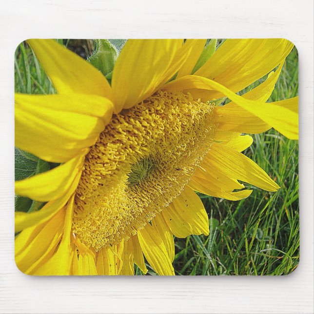 Mousepad Prato de girassol amarelo (Frente)