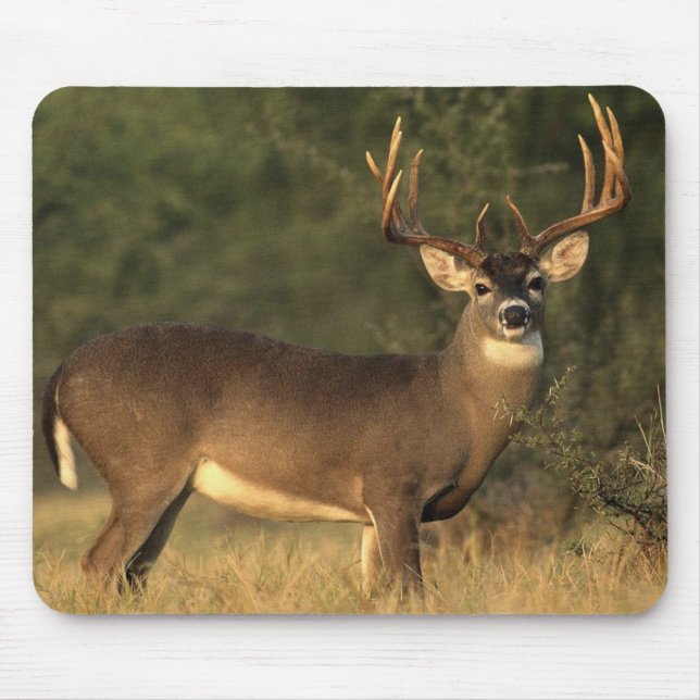 Mousepad Prato de veado branco (Frente)