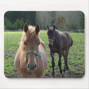 Mousepad Prato-do-cavalo