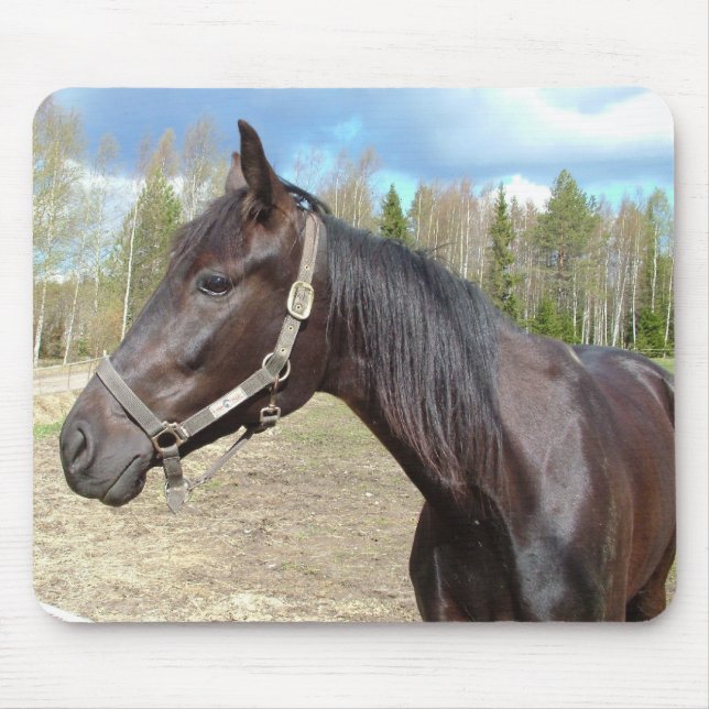 Mousepad Prato-do-cavalo (Frente)