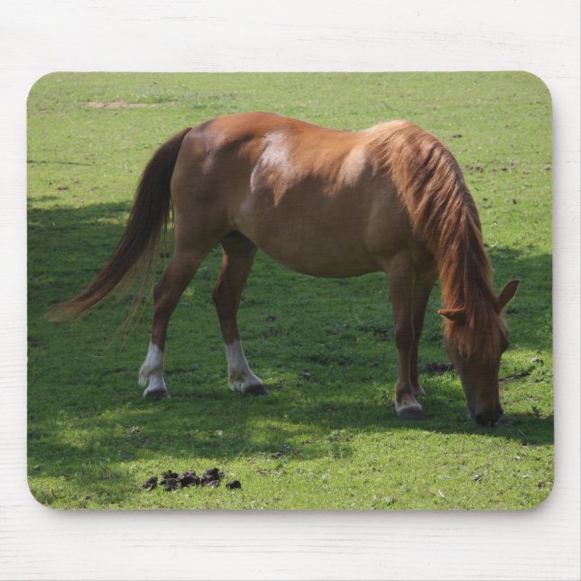 Mousepad Prato-do-cavalo marrom (Frente)