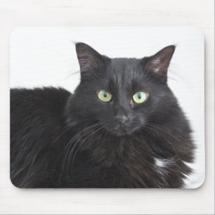 Mousepad Prato-do-gato preto