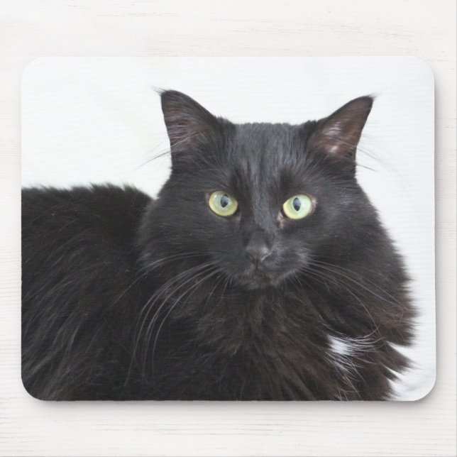 Mousepad Prato-do-gato preto (Frente)