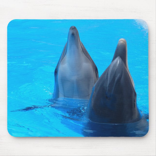 Mousepad Prato-do-golfinho (Frente)