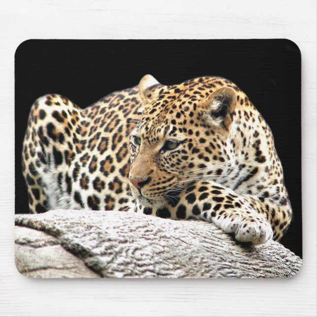 Mousepad Prato-do-leopardo-assado (Frente)