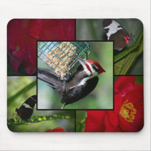 Mousepad Prato-pica-pau pileado