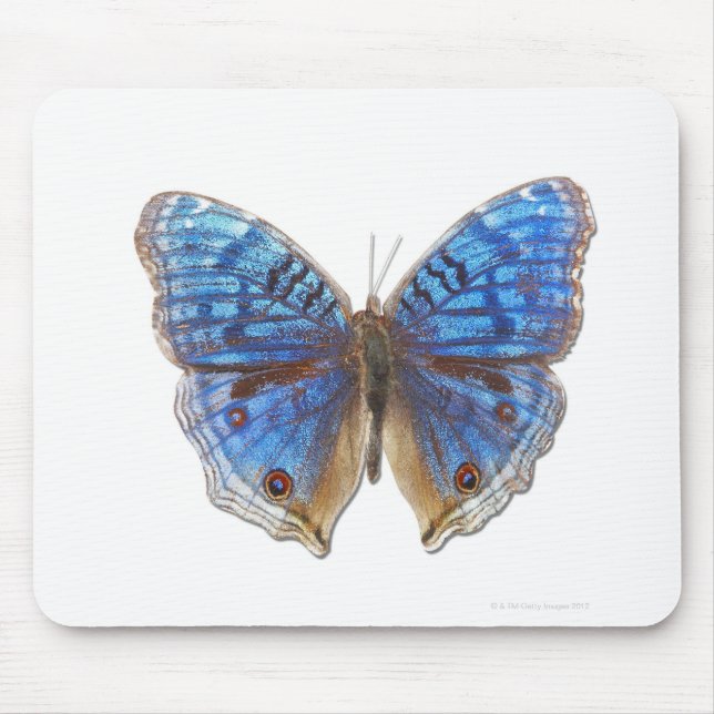 Mousepad Precis rhadama (Frente)