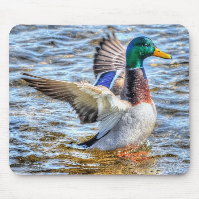 Mousepad Preening Mallard Duck Birdlover Wildlife (Frente)