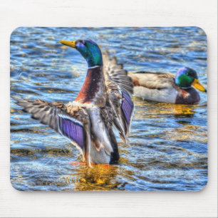 Mousepad Preening Mallard Duck Birdlover Wildlife