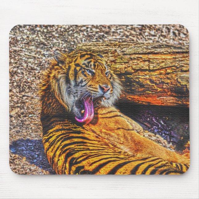 Mousepad Preening Sumatran Tiger Big Cat Willife Art (Frente)