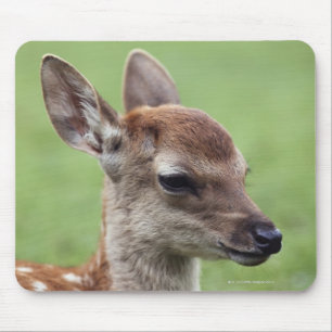 Mousepad Prefeitura de Nara, Honshu, Japão