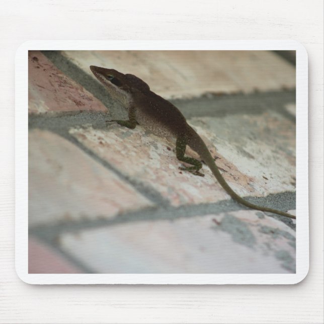 Mousepad Preguiçoso (Frente)