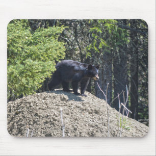 Mousepad Presente de Fotografia de Wildlife do Urso Negro S