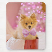 Presente de Natal Cachorro Filhote