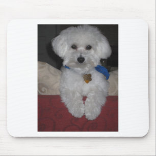 Mousepad Presente maltês