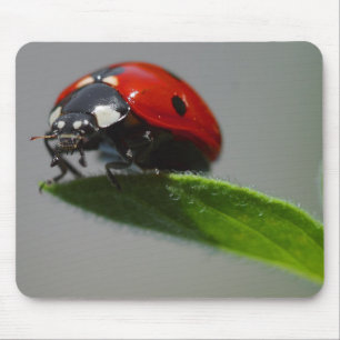 Mousepad Presentes afortunados dos amantes do joaninha