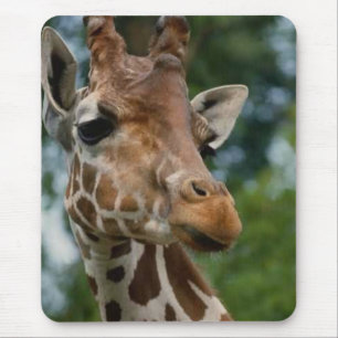 Mousepad Presentes da arte dos amantes do girafa