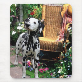 Mousepad Presentes de Arte Dalmáticos