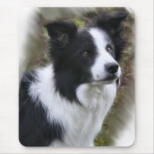 Mousepad Presentes de Arte de Collie de Borda