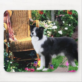 Mousepad Presentes de Arte de Collie de Borda