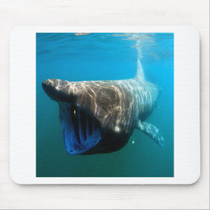 Mousepad Presentes De Destino Do Oceano Tropical De Peixes 