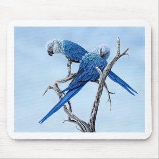 Mousepad Presentes do Macaw de Spix para o amante de Spix