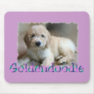 Mousepad Presentes dos amantes de Goldendoodle