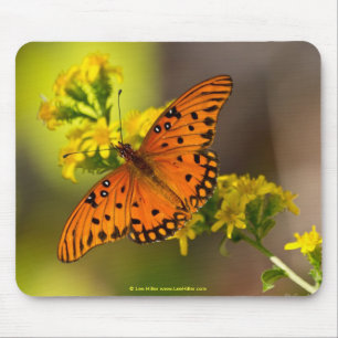 Mousepad Presentes e Roupa da borboleta do Golfo Fritillary