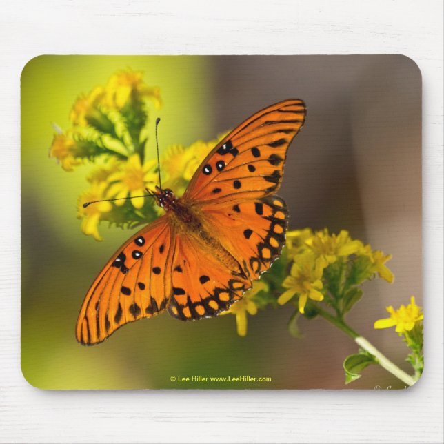 Mousepad Presentes e Roupas da Borboleta Fritillary Gulf (Frente)