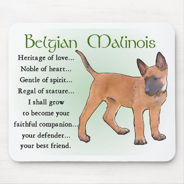 Mousepad Presentes Malinois belgas (Frente)