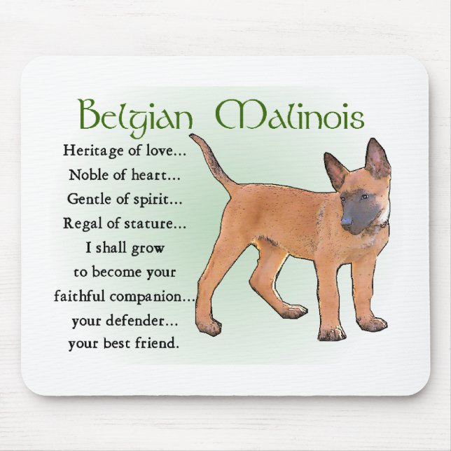 Mousepad Presentes Malinois belgas (Frente)