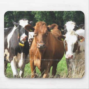Mousepad Presentes temáticos das vacas: Para sempre amigos