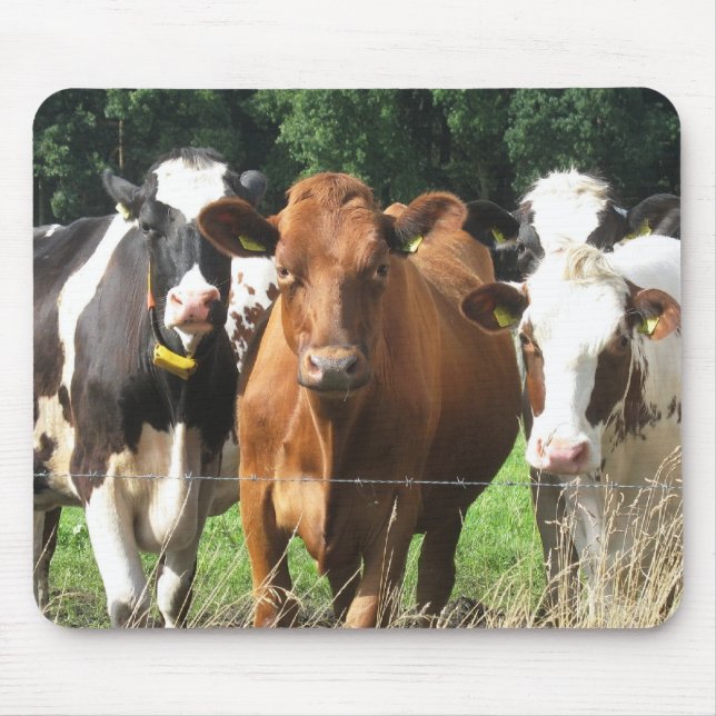 Mousepad Presentes temáticos das vacas: Para sempre amigos (Frente)