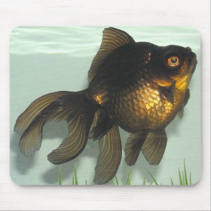 Mousepad Preto-amarre o peixe dourado