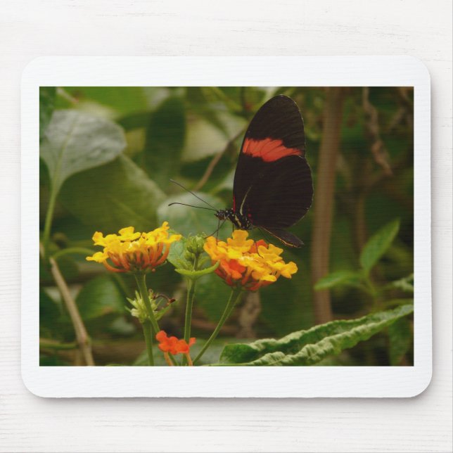 Mousepad Preto com borboleta Red Flash (Frente)