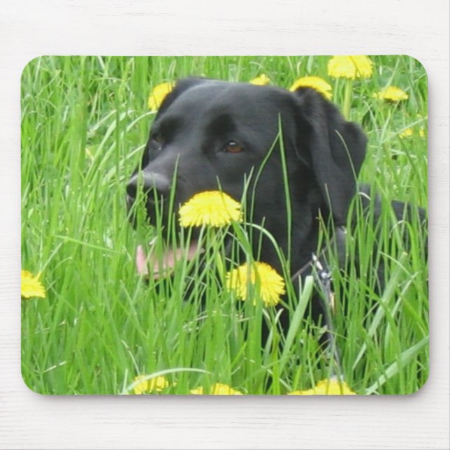 MOUSEPAD PRETO DE LABRADOR RETRIEVER DO CÃO (Frente)