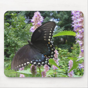 Mousepad preto do ~ de Swallowtail 69