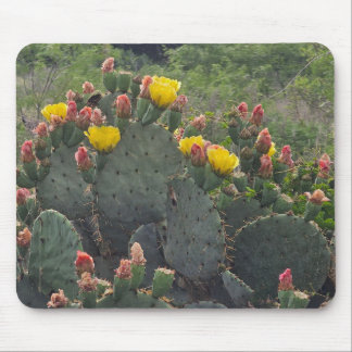 Mousepad Prickly Pear Cactus
