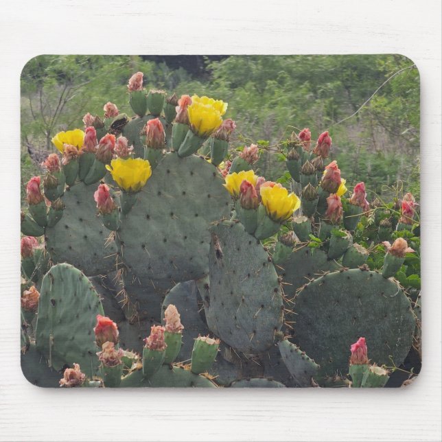 Mousepad Prickly Pear Cactus (Frente)