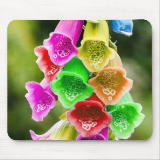 Mousepad Primavera