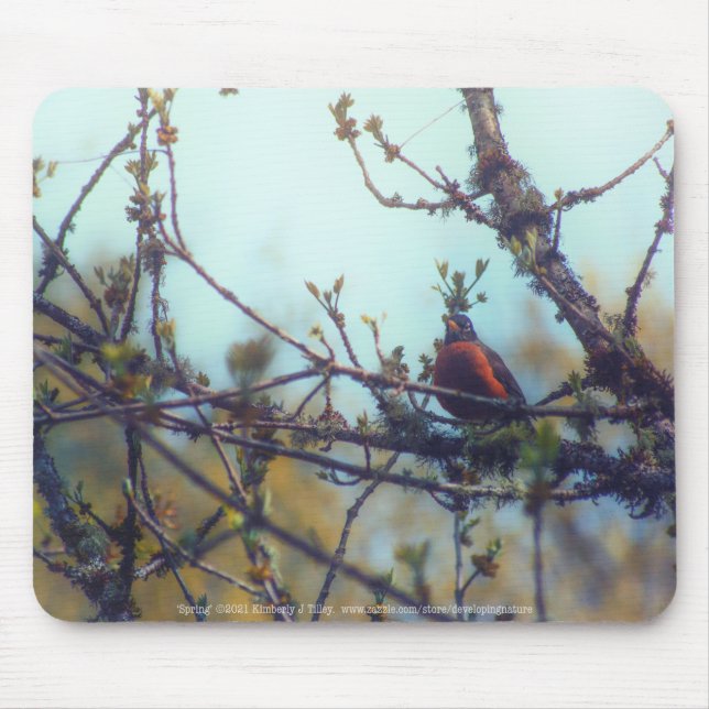 Mousepad Primavera (Frente)