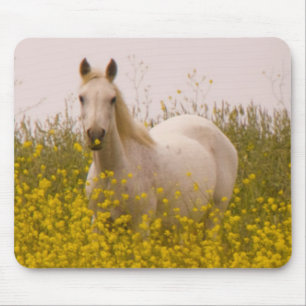 Mousepad Primavera