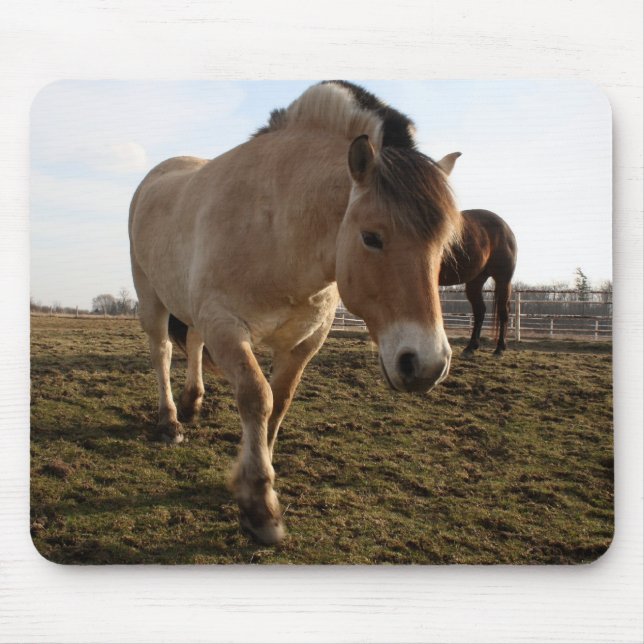 Mousepad Primavera (Frente)