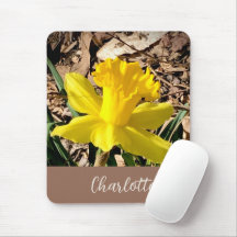 Primavera amarelo Daffodil no nome personalizado d