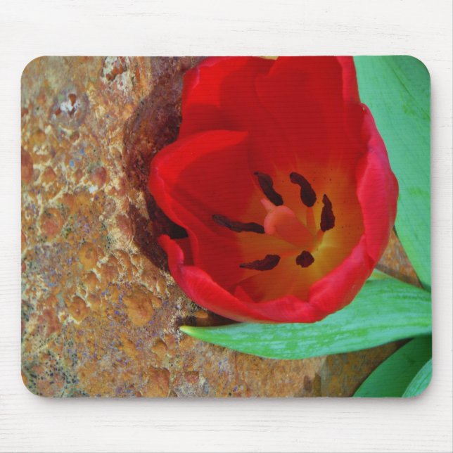 Mousepad Primavera amarelo e Red Tulip (Frente)