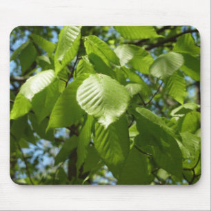 Mousepad Primavera Birch deixa árvore verde